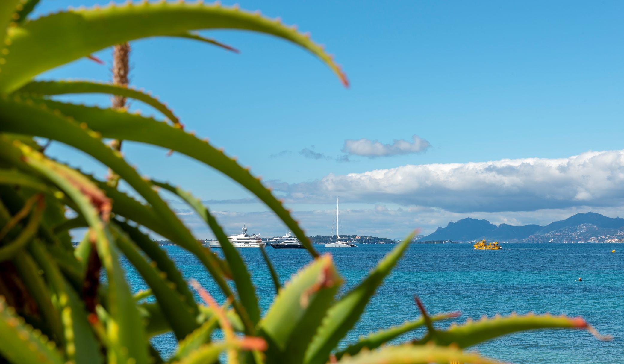Le 1932 Hotel & Spa Cap D'Antibes - Mgallery Juan-les-Pins Exteriör bild